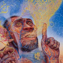 Stoned Ape teorisi nedir?