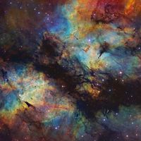 IC 1318: Gaz ve Toz İçinde Bulunan Kelebek Bulutsusu
