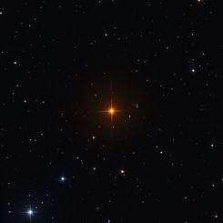  R Leporis: A Vampire's Star 