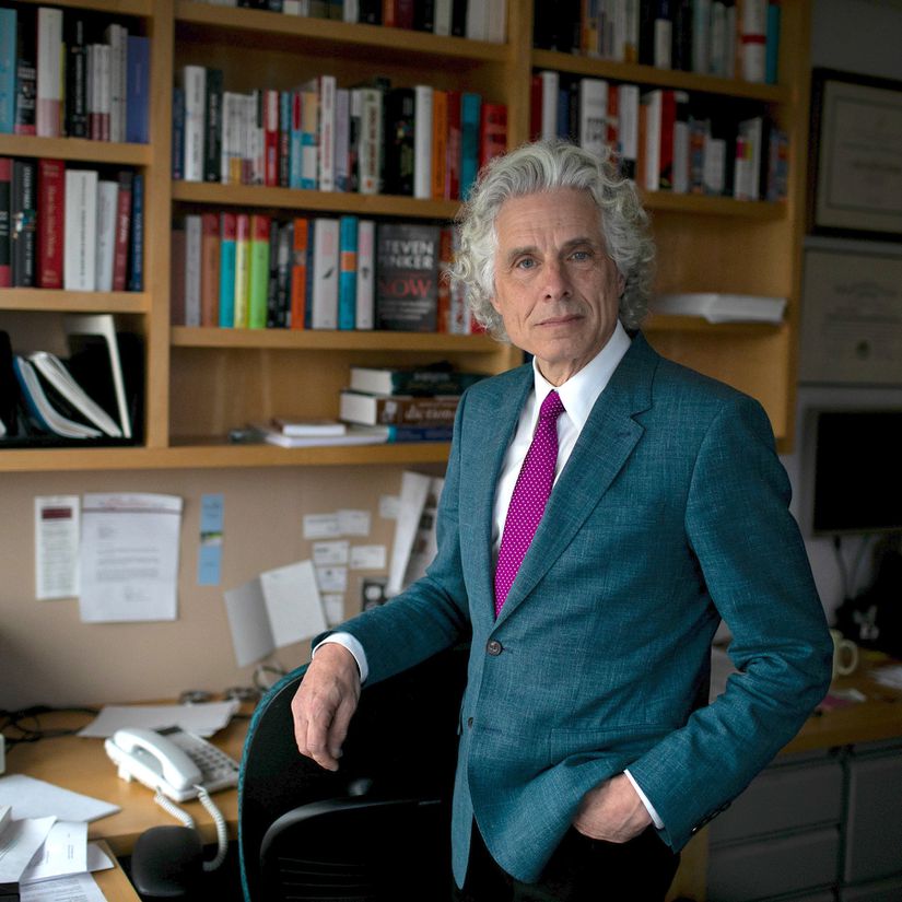 Profesör Steven Pinker