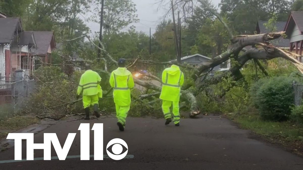 Hurricane Francine Leaves Devastation But Sparks Community Resilience