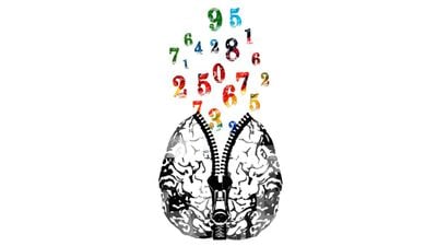 Beyin ve Sayılar: En Karmaşık Yapılardan Biri Olan Beyni Sayılarla Tanıyın!