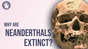 Exploring Why Neanderthals Disappeared While Modern Humans Thrived