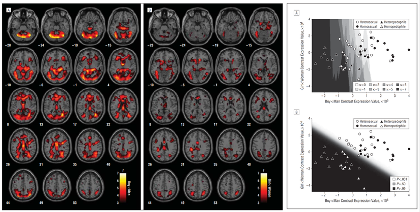 Deneklerin fMRI sonuçları arasındaki farka bakarak pedofil/pedofil-olmayan grafiği kolaylıkla oluşturulabilindi.