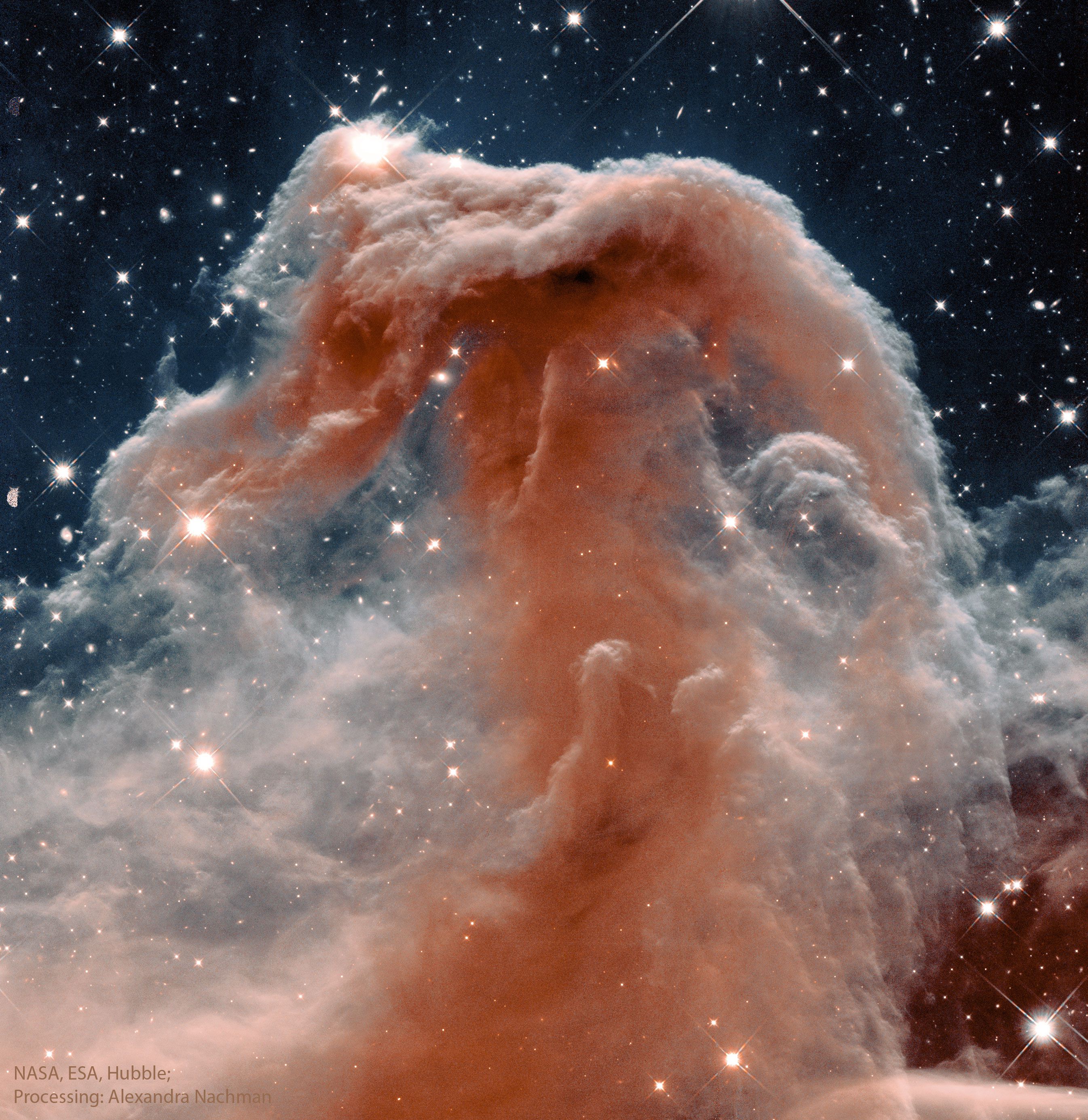  The Horsehead Nebula in Infrared from Hubble 