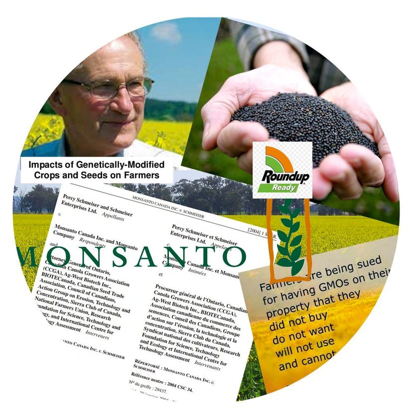 Monsanto vs. Schmeiser