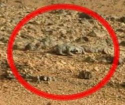 Marsta çekildiği iddaa edilen fotoların aslında dünyada çekildiği ile ilgili sayısız tartışma mevcut konuyla ilgili bilgisi olsan var mı?