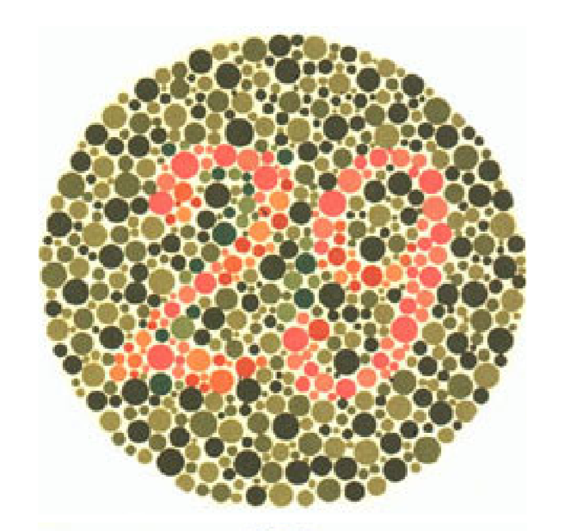 Plaka 4: Normal görüşlüler 29, kırmızı-yeşil renk körleri 70 sayısını görmeli.