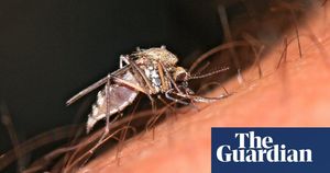 Oropouche Virus Cases Surge Across The US