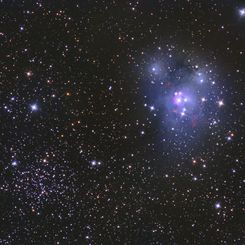  NGC 7129 and NGC 7142 