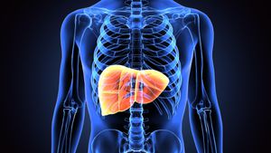 Veozah Faces FDA Warning For Serious Liver Injury Risks