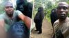 Kaçakçı Çeteler Tarafından Virunga Ulusal Parkı'na Yapılan Silahlı Saldırıda, Gorilleri Koruyan 12 Korucu ve 5 Sivil Hayatını Kaybetti!