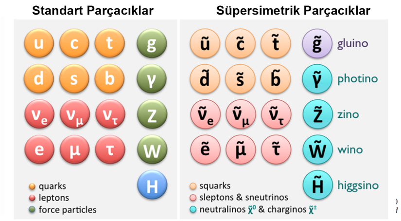 Standart Model parçacıkları ve Süpersimetri Prensibi ile eklenen parçacıklar