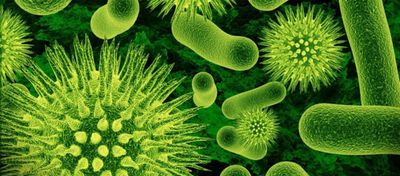 Bakterilerin Karmaşık Savunma Sistemini Kullanarak Virüsleri Yok Edebilir Miyiz?