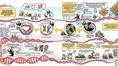 Genetik Biliminin Gelişimi