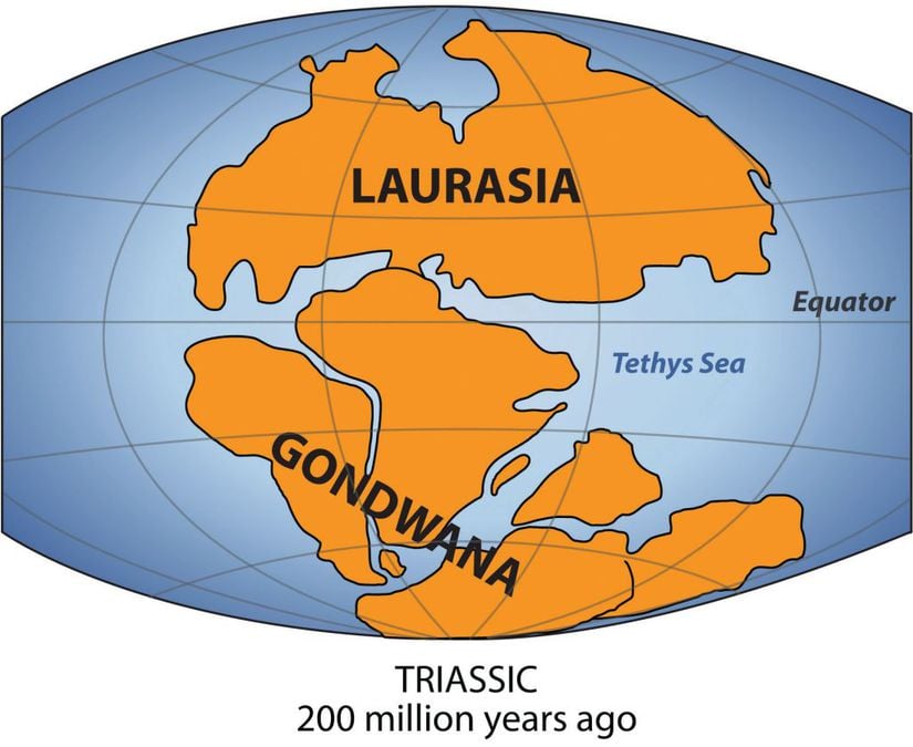 200 milyon yıl öncesine ait Gondwana ve Laurasia kıtaları