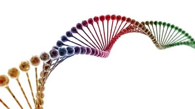 DNA, Veri Taşıma Kapasitesi Olan Milyonlarca Genetik Molekülden Sadece Biri Olabilir!