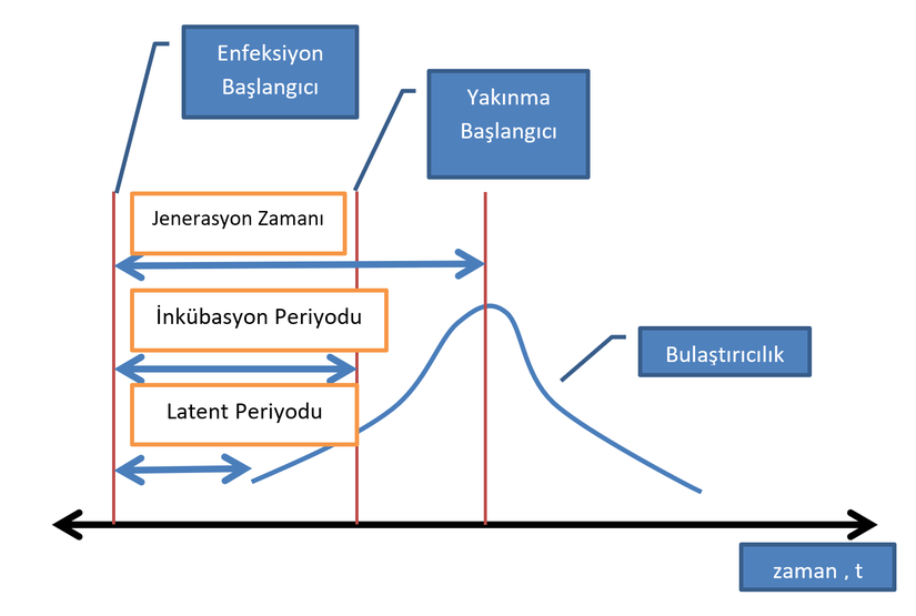 Şekil 1: Bulaşıcı hastalığın zaman içindeki değişimi (eğrinin altındaki alan bulaştırıcılığın yoğunluğunu gösterir).