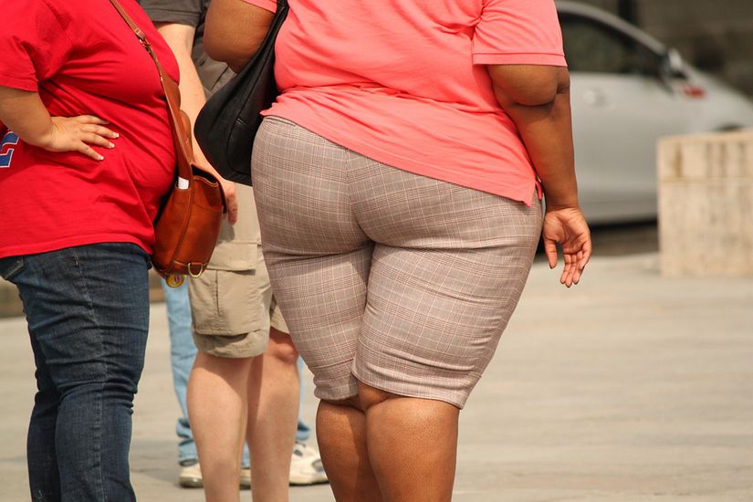 FAO’ya göre obezite bir gıda güvencesi sorunudur.