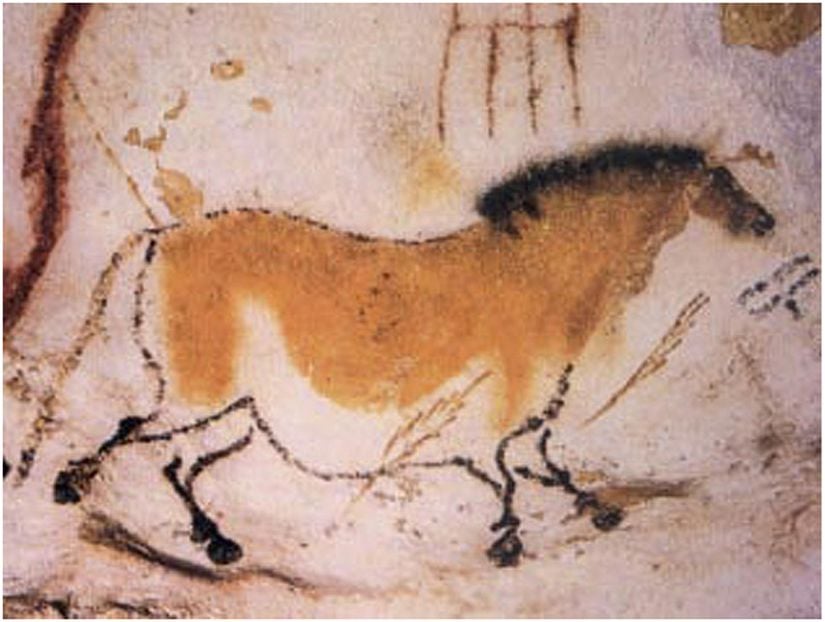 Lascaux Mağarası'ndan Cro-Magnon adamı duvar çizimi
