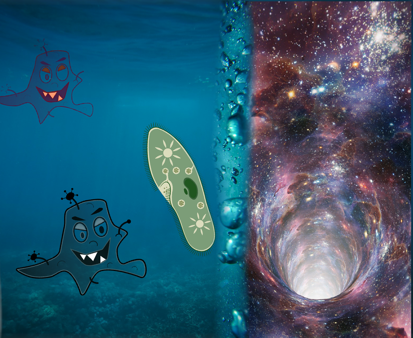 Mikro evren okyanusundaki hızlı bir su akıntısı, makro evrendeki solucan deliklerine benzemiyor mu? Mikroplar için elbette!