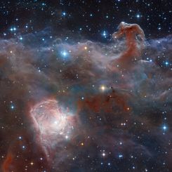  Horsehead: A Wider View 