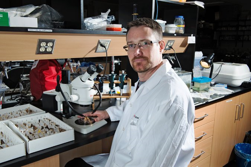 T. Ryan Gregory, Guelph Üniversitesi'ndeki laboratuarında.