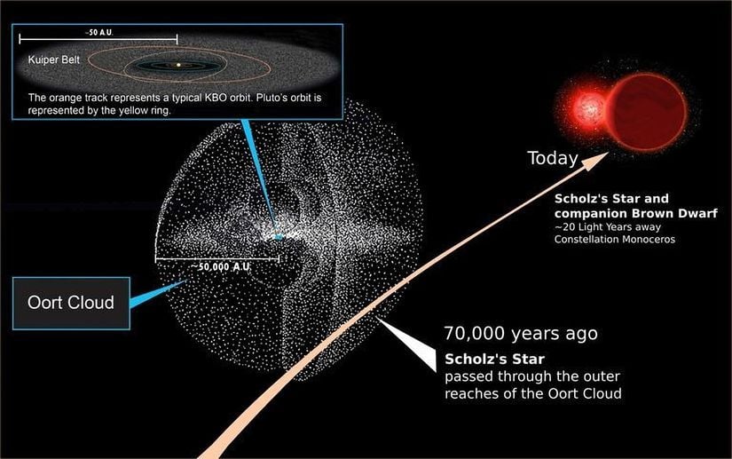 Scholz'un Yıldızı ve ona eşlik eden kahverengi cücenin yakın geçişini gösteren bir şema. Oort Bulutu, muhtemelen burada gösterildiğinden çok daha uzaklara, 100.000 AB'den daha ileriye yayılmış durumda.