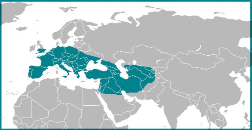 Neandertallerin coğrafî dağılımı. Görüldüğü üzere ağırlıklı olarak Avrupa ve Güney Asya'da yaşam sürmüşlerdir.