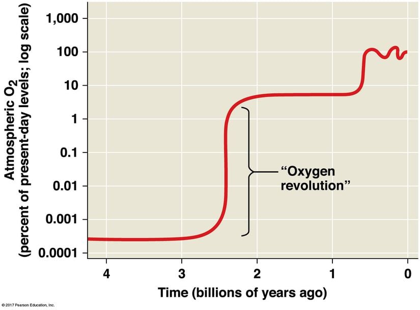 "Oksijen devrimi" olarak da bilinen Büyük Oksitlenme Olayı, günümüzden 2.6 milyar yıl kadar önce başlamıştır ve sadece birkaç milyon yılda atmosferik oksijen seviyelerini günümüzdekinin %0.0005'inden, %5'i civarına (yaklaşık 10.000 kat artış!) ulaştırmıştır.