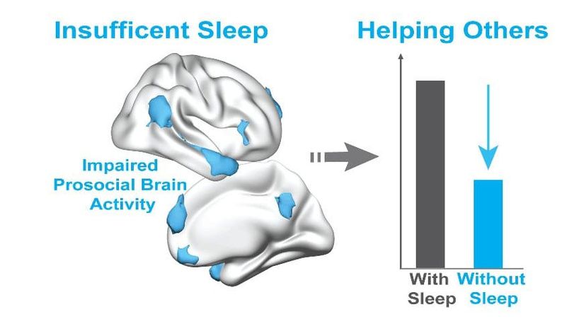 UC Berkeley bilim insanları tarafından yapılan yeni çalışma, uyku kaybının, temel prososyal beyin ağlarının aktivitesinde bir bozulma tarafından tetiklenen, başkalarına yardım etme arzusunu nasıl önemli ölçüde azalttığını gösteriyor.