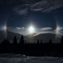  Alaskan Moondogs 