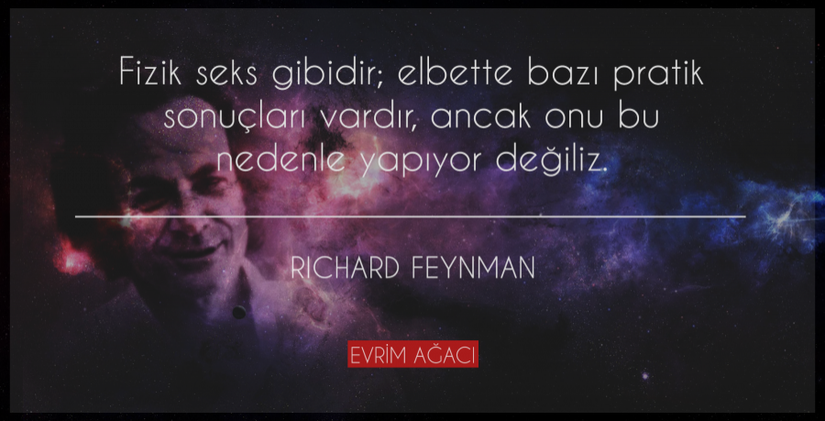 Richard Feynman'a atfedilmiş, aslında ona ait olduğu ispatlanmamış bir söz. Sözün Feynman'a atfedildiği ilk kaynak, 2000 senesinde Robyn Williams tarafından yazılmış