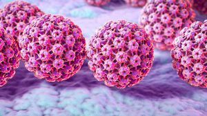 İnsan Papilloma Virüsü (HPV) Nedir? Kansere Nasıl Yol Açar? Olabildiğince Erken Yaşta HPV Aşısı Olmak Neden Önemlidir?
