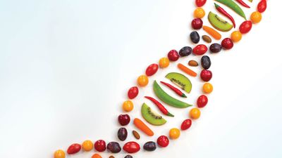 Besin Tercihlerimiz Genlerimiz Tarafından Belirlenmiş Olabilir mi?