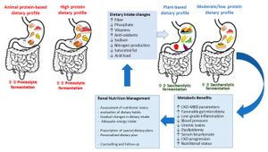 Can Targeting Kidney Metabolism Help Control Hypertension?