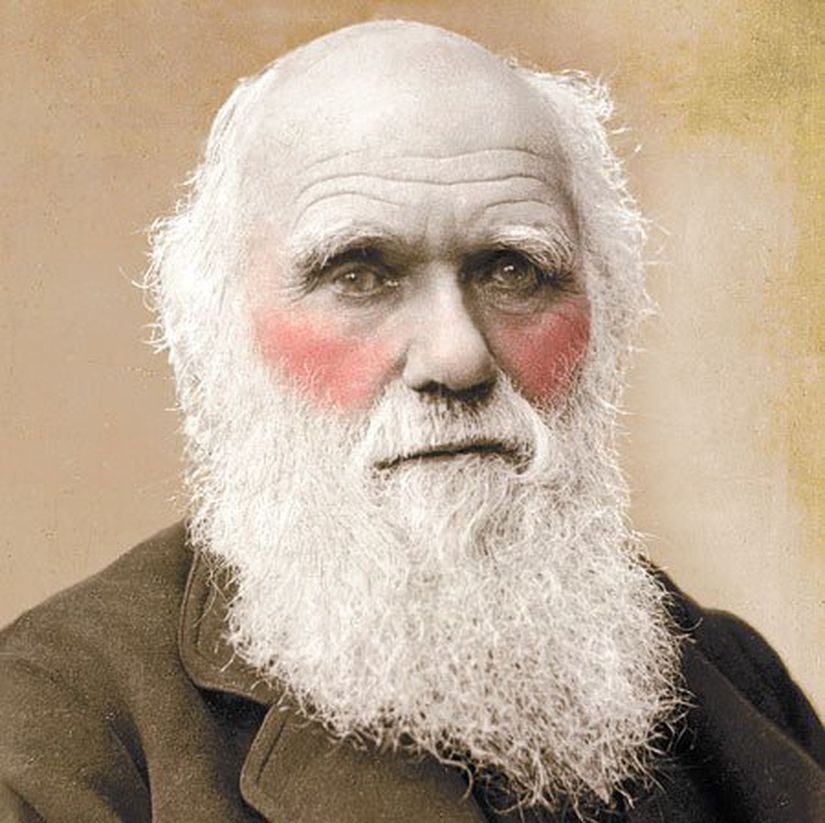 Charles Darwin ve Yüz Kızarması