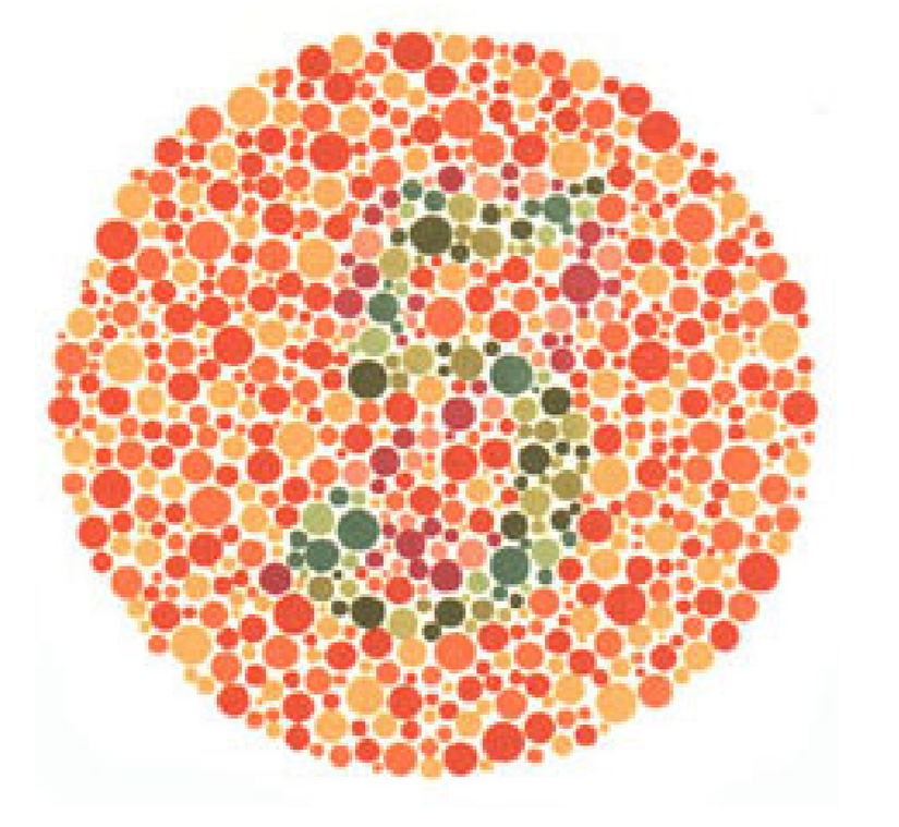 Plaka 6: Normal görüşlüler 5, kırmızı-yeşil renk körleri 2 sayısını görmeli.