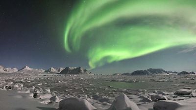 Antarktika Tarımı: En Soğuk ve Kurak Kıtada 100 Yıldır Araştırılan Tarım Yöntemleri, Uzun Süreli Uzay Görevlerinde İnsanlara Nasıl Yardım Edebilir?
