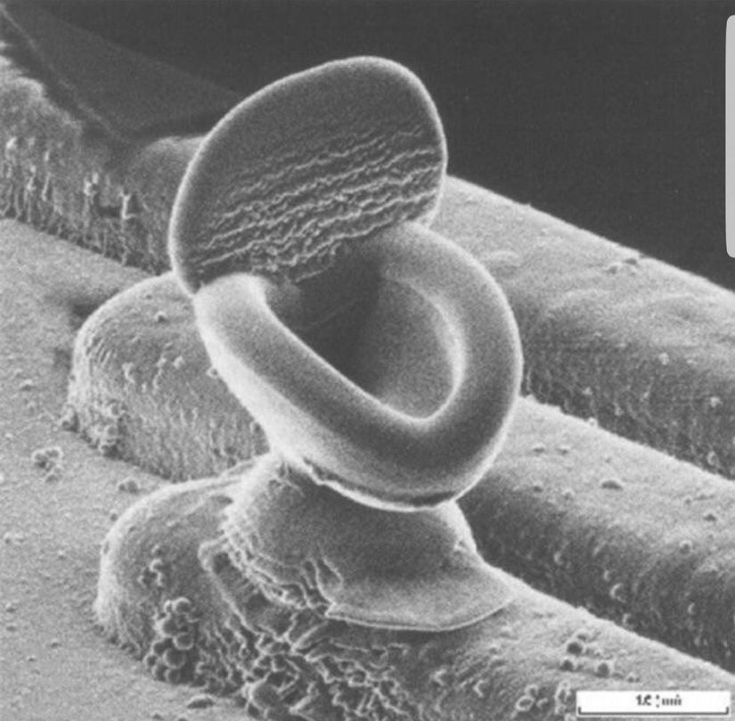 Nano klozet? Görseldeki cisim her ne kadar mini bir tuvalet gibi gözükse de, aslında görüntü bir entegre devrenin 15.000 kat büyütülmesiyle elde edildi ve gördüğünüz açıklık yaklaşık 1 nanometre genişliktedir. Fotoğraf, Japonya'da bulunan SII Nanotechnology isimli laboratuvarda, bir elektron mikroskobu ile çekildi. Bu fotoğraf, 49. Uluslararası Elektron, İyon ve Foton Işını Teknolojisi ve Nanoüretimi Konferansı'nda düzenlenen Sıradışı/Güzel Mikrogörsel Yarışması'nda &quot;En Sıradışı Fotoğraf&quot; kategorisinde birinci seçildi. Fotoğrafın açıklamasına göre ise görselde görünen, devre üzerindeki hatalardan biri...