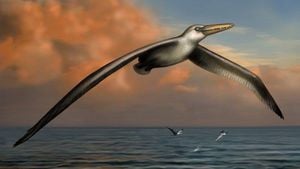 Pelagornis sandersi: Dünyanın Uçabilen En Büyük Kuşu!