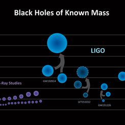  Black Holes of Known Mass 