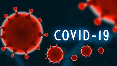 COVID-19 Daha da Kötüleşiyor mu? SARS-CoV-2 Virüsü Mutasyonları, Koronavirüs Evriminin Yönüyle İlgili Bize Neler Söylüyor?