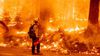 Dünya Yanıyor: İklim Krizi Nedeniyle Birçok Ülke, Eş Zamanlı Olarak Dev Yangınlara Teslim Oldu!