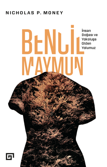 Bencil Maymun