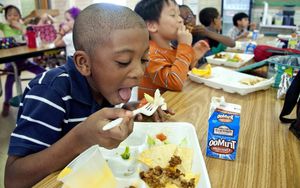 Free School Meals Enhance Attendance And Health