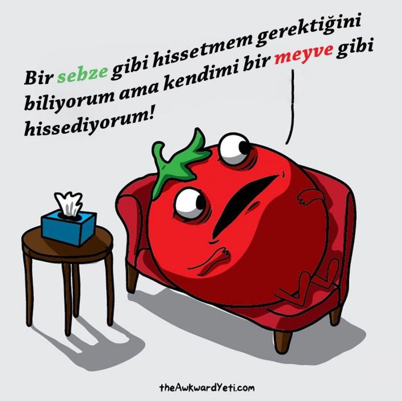 Bu hoş karikatür, sadece domateslerin aslında meyve olduğu gerçeğine vurgu yapmakla kalmıyor, aynı zamanda