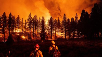 İklim Değişimi, Orman Yangınlarının Sayı, Sıklık ve Şiddetini Nasıl Artırıyor?
