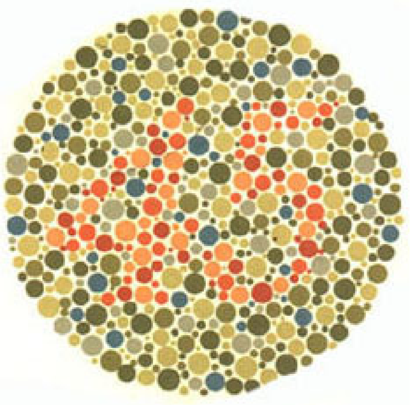 Plaka 13: Normal görüşlüler 45 görürler, kırmızı-yeşil renk körleri hiçbir sayı görmez veya bir sorun olduğunu düşünürler.