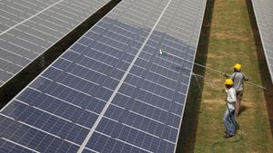 India Charts Bold Future With Clean Energy Investments